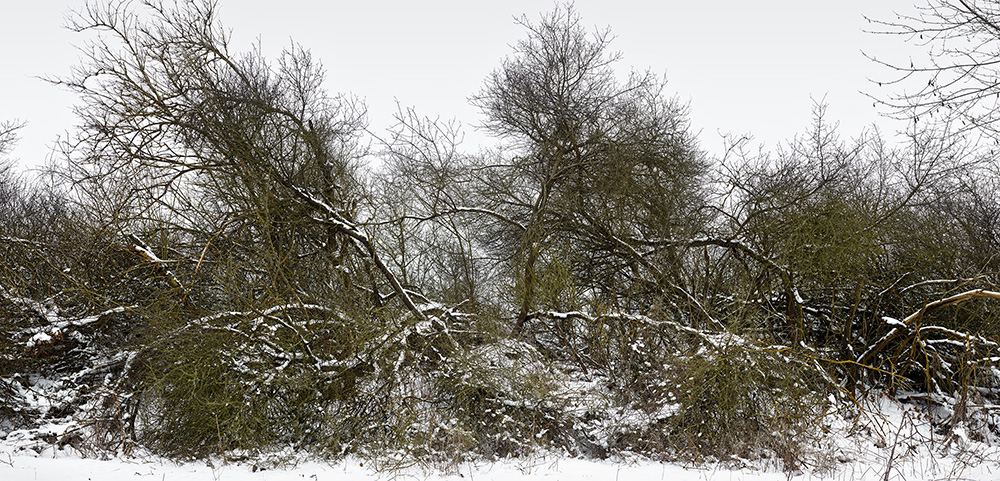 Photograph Winter Landscape